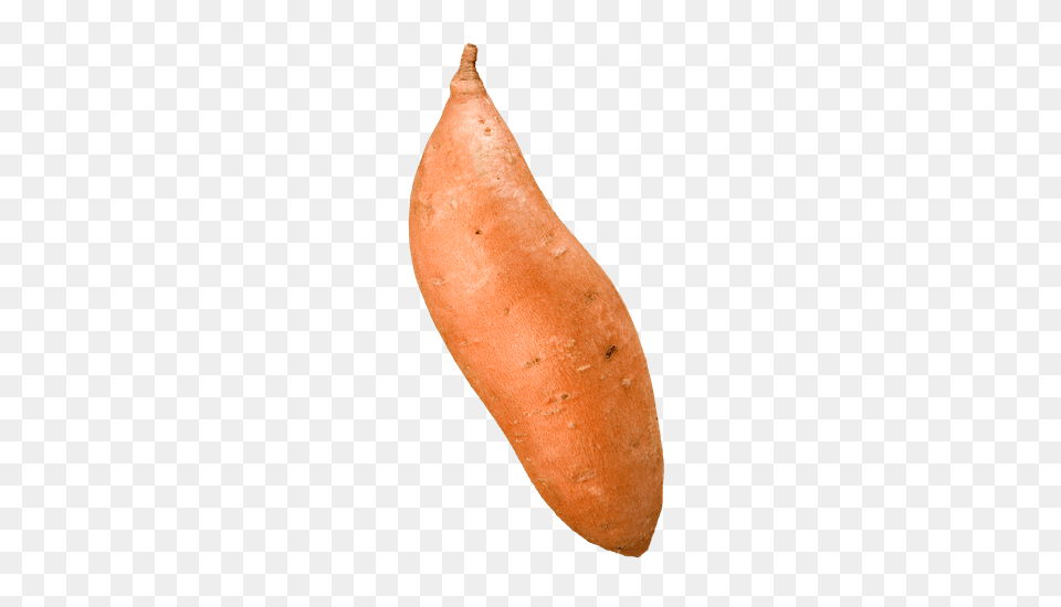 Single Yam, Food, Plant, Produce, Sweet Potato Png