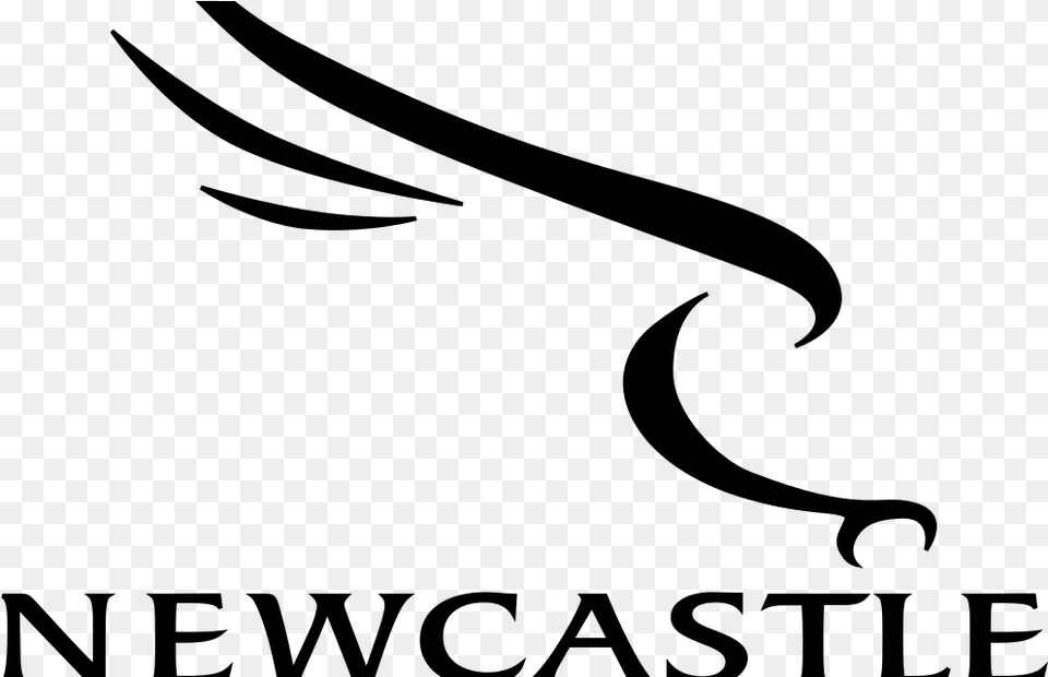 Sinoti Sinoti Returns For Newcastle Falcons V Bath, Gray Free Transparent Png