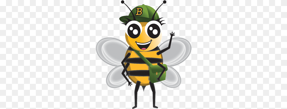 Sirhowy Valley Honey Bee Bee, Animal, Honey Bee, Insect, Invertebrate Free Png