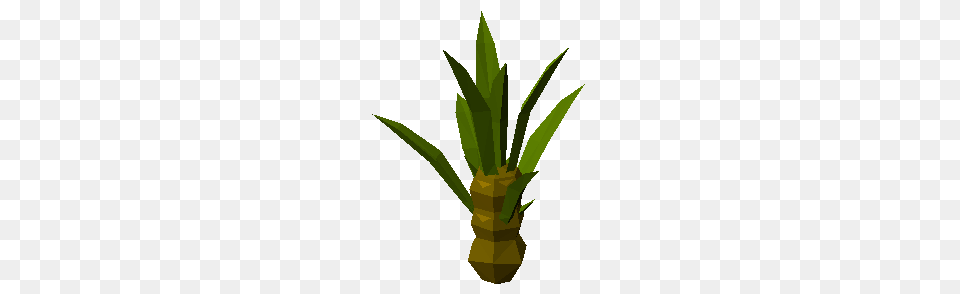 Sisal Agave Plant, Leaf Png