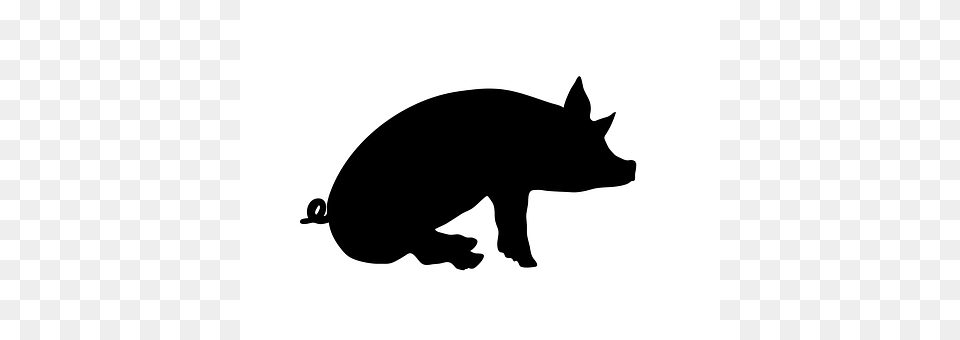 Sit Silhouette, Stencil, Animal, Mammal Png Image