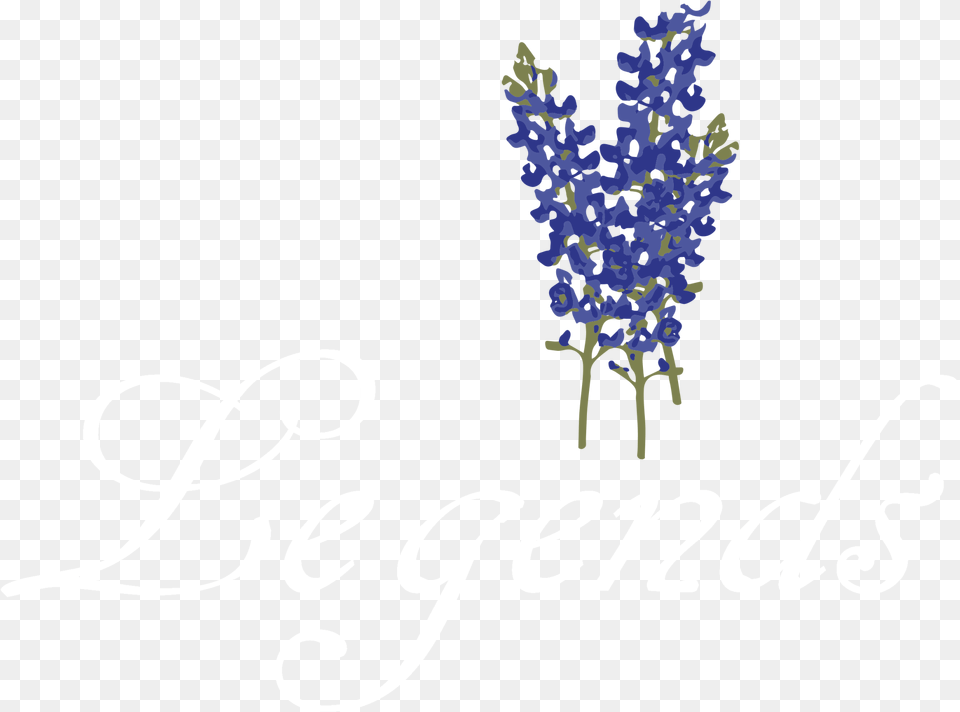 Site Image Bluebonnet Flower, Plant, Lavender, Text Png