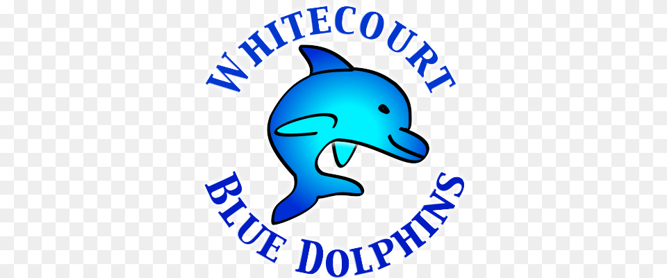 Site Logo St Bernadette39s School Sunshine North, Animal, Dolphin, Mammal, Sea Life Free Png