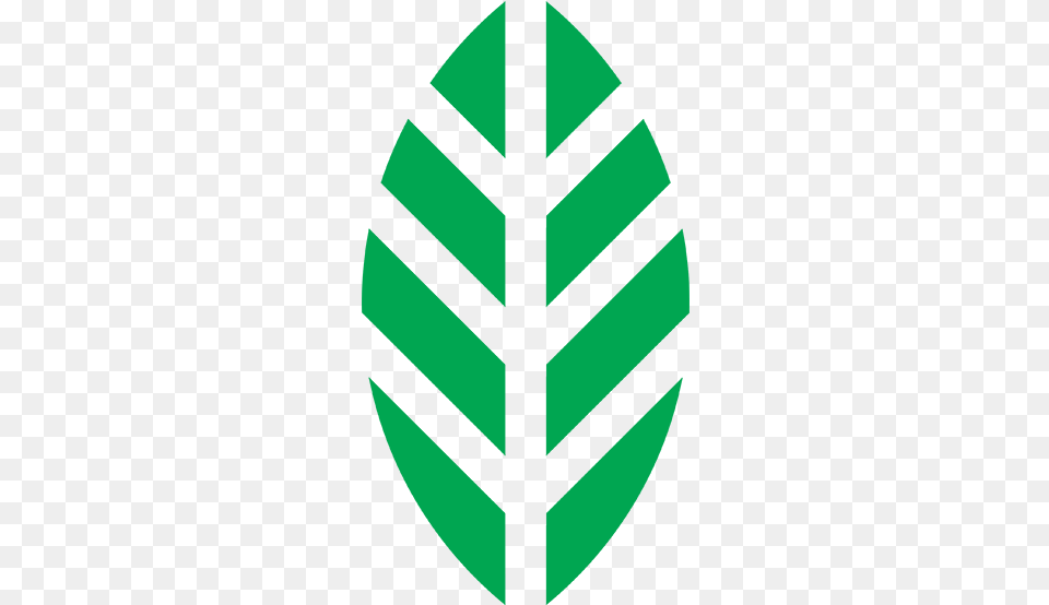 Sites Nbussite New Balance Vertical, Leaf, Plant, Cross, Symbol Free Transparent Png