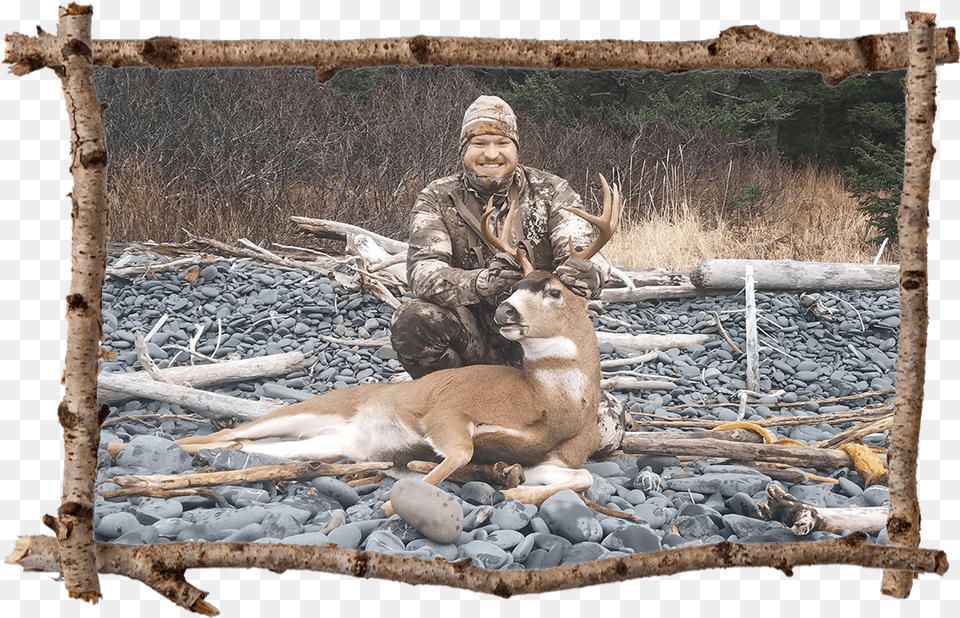 Sitka Deer Hunting Alaska Game Hunting Hunt Afognak Picture Frame, Animal, Mammal, Wildlife, Wood Free Png
