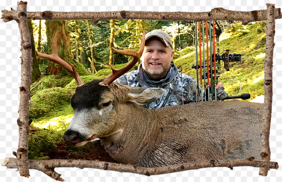 Sitka Deer Hunting Alaska Game Hunting Hunt Afognak Wildlife Biologist, Mammal, Animal, Photography, Person Free Png