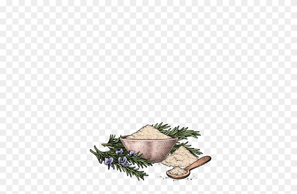 Sitka Spruce, Herbal, Herbs, Plant, Powder Png