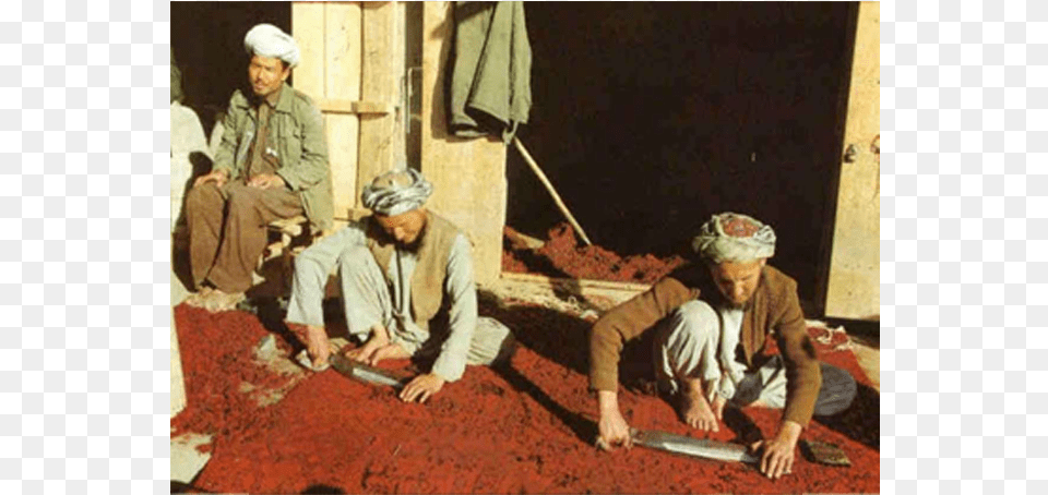 Sitting, Adult, Female, Male, Man Free Transparent Png