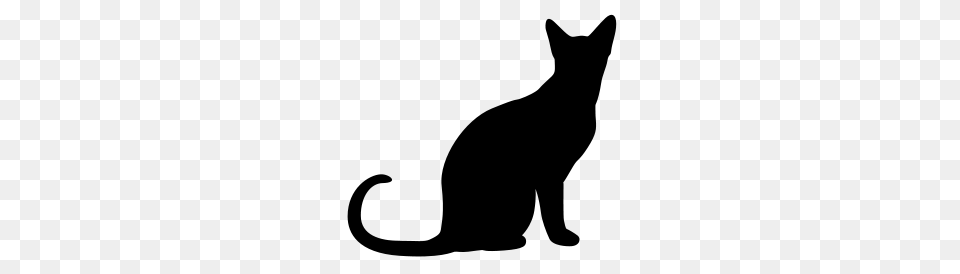 Sitting Cat Silhouette, Gray Png Image
