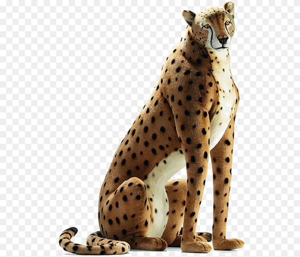 Sitting Cheetah Image Life Size Realistic Stuffed Animals, Animal, Mammal, Wildlife, Panther Free Transparent Png