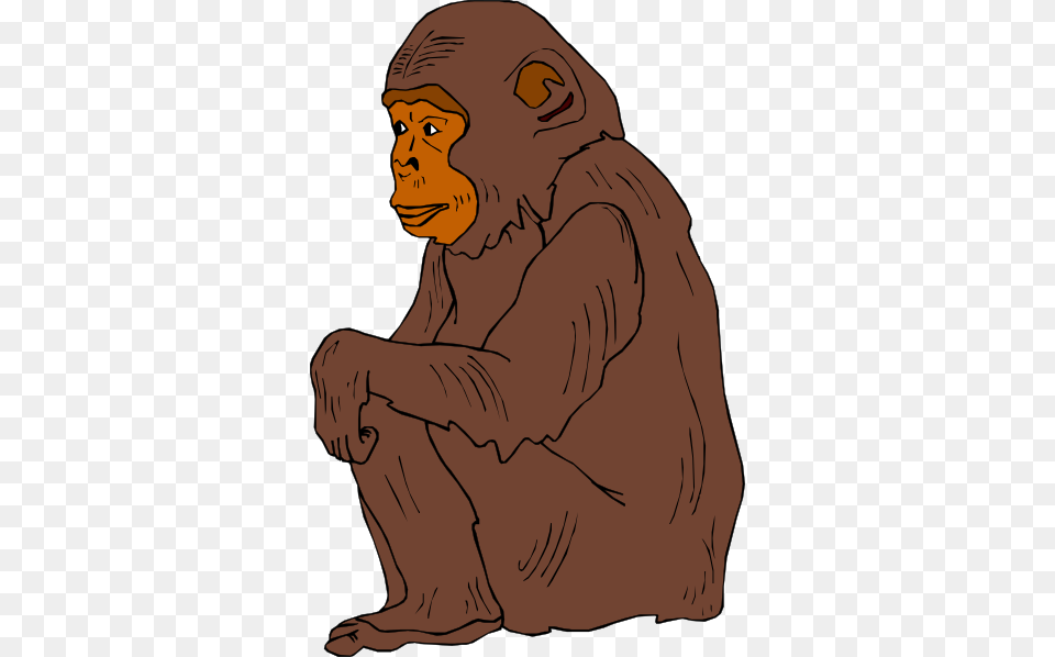Sitting Chimp Clip Art, Adult, Wildlife, Person, Mammal Png Image