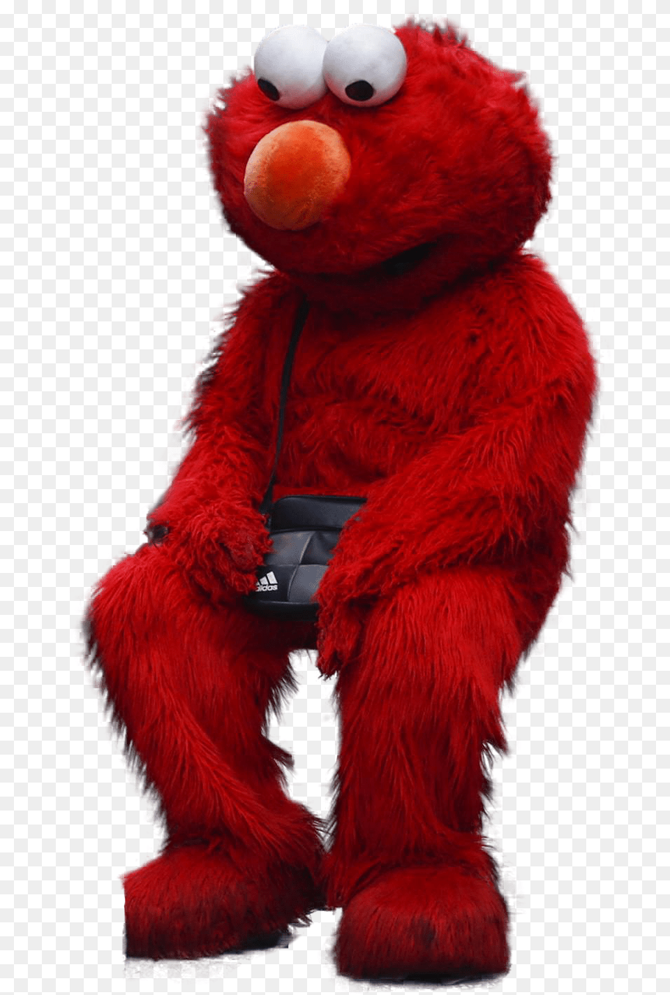 Sitting Elmo, Toy, Teddy Bear Png Image