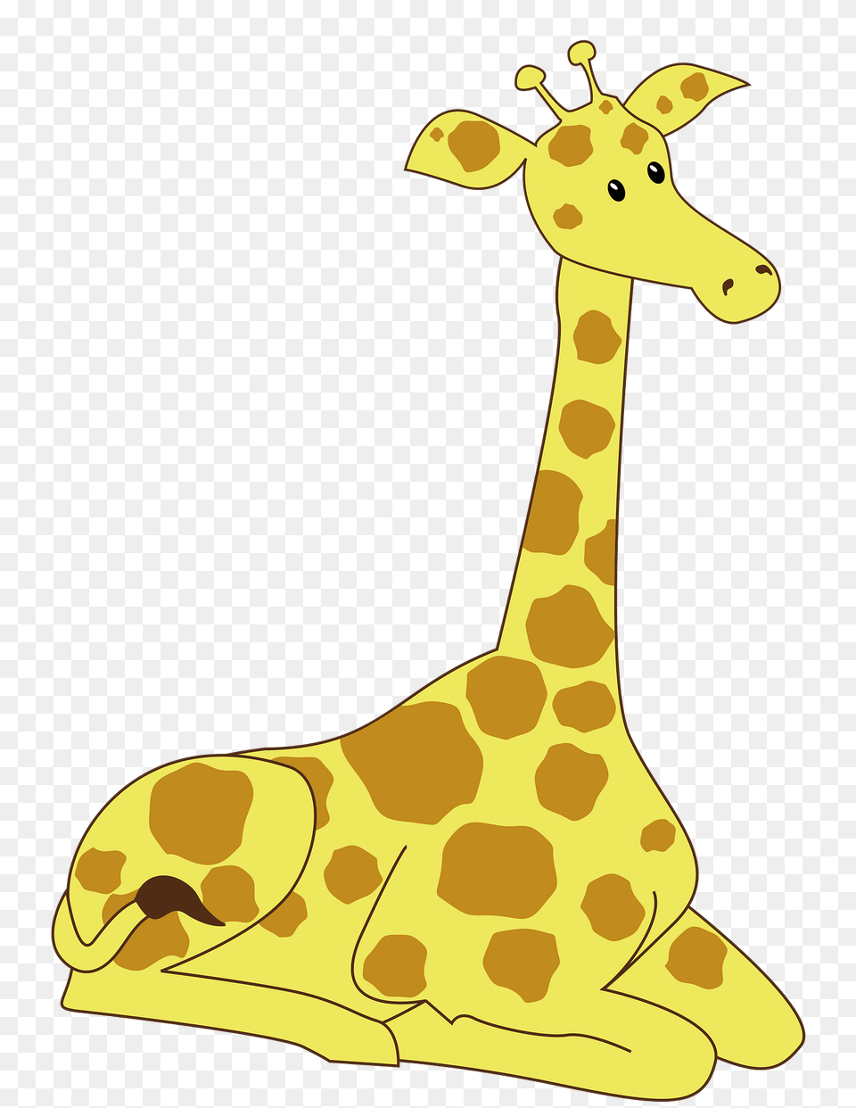 Sitting Giraffe Clipart, Animal, Mammal, Wildlife, Kangaroo Png