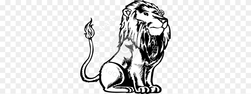 Sitting Lion Banner Black And White Draw A Lion Sitting Down Side View, Animal, Mammal, Wildlife, Person Png Image