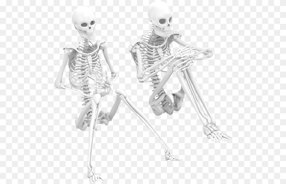 Sitting Skeletons, Skeleton, Adult, Female, Person Png Image