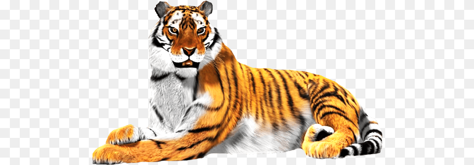 Sitting Tiger Image National Animal Of India Clipart, Mammal, Wildlife Free Png Download