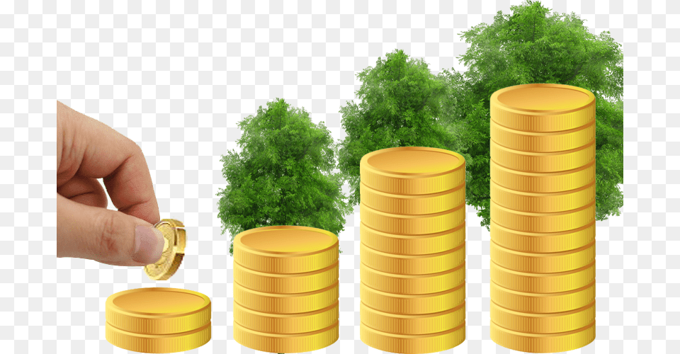 Siva Shakthi Chit Fund Coin, Plant, Herbs, Herbal, Person Free Png