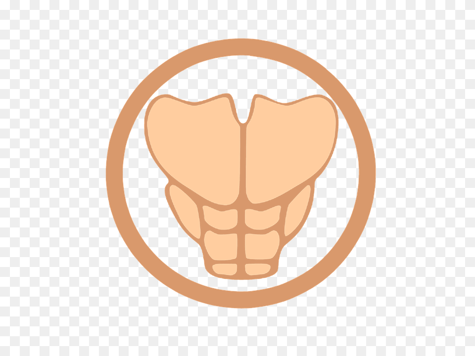 Six Pack Body Part, Hand, Person, Fist Png Image