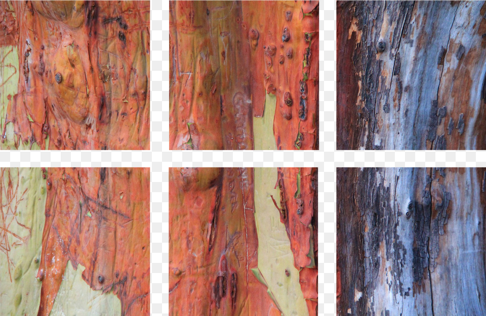 Six Print Squares Plank, Art, Canvas, Collage, Painting Free Png Download