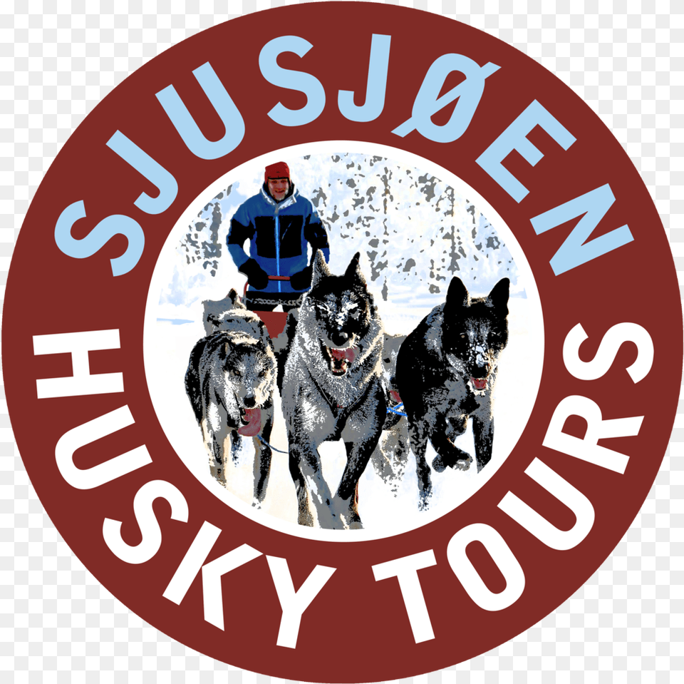 Sjusjen Husky Tours, Outdoors, Nature, Mammal, Animal Png Image