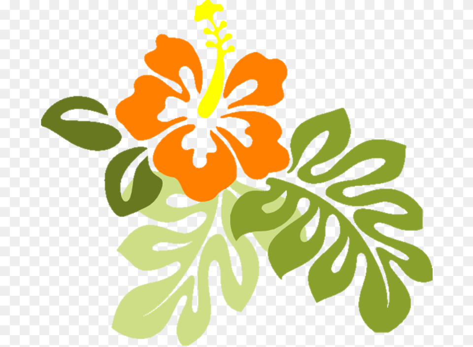 Skal Hawaii Has Made Arrangements To Ensure That You Hibiscus Clip Art, Flower, Plant, Baby, Person Free Png