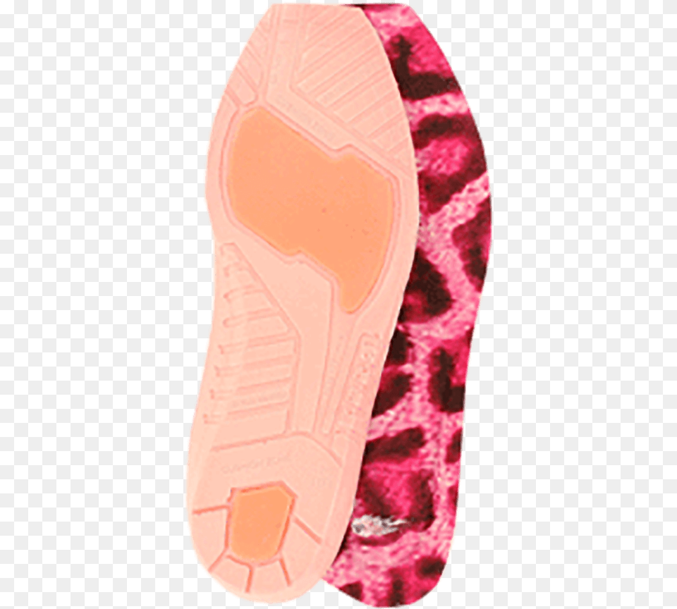 Skate Shoe, Clothing, Footwear Png