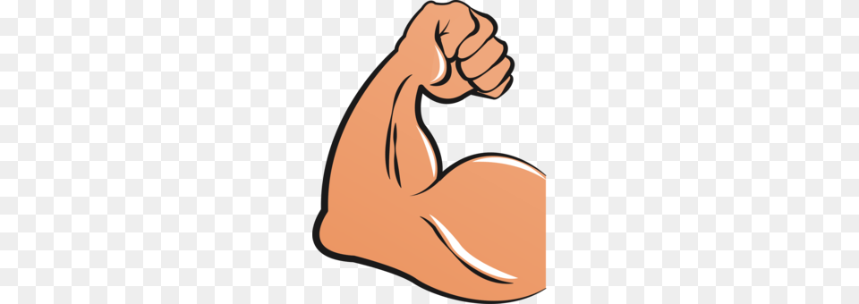 Skeletal Muscle Arm Drawing Biceps, Body Part, Person, Adult, Female Free Png Download