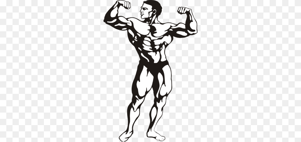 Skeletal Muscle Clip Art, Stencil, Adult, Male, Man Png Image