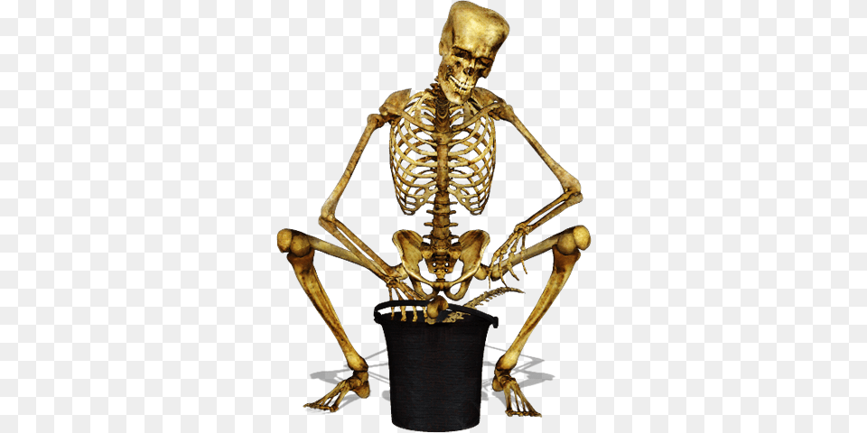 Skeleton 052 Slav Squat Skeleton, Animal, Invertebrate, Spider Free Png