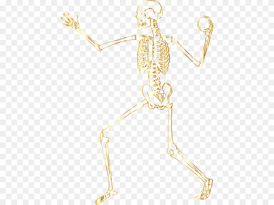 Skeleton, Bow, Weapon Free Png