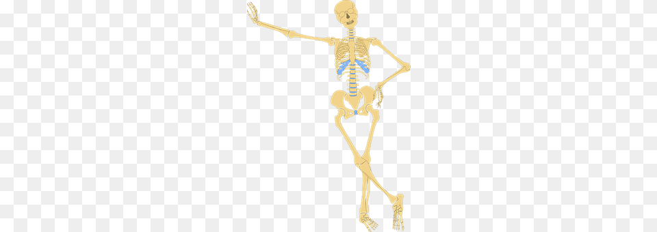 Skeleton Png