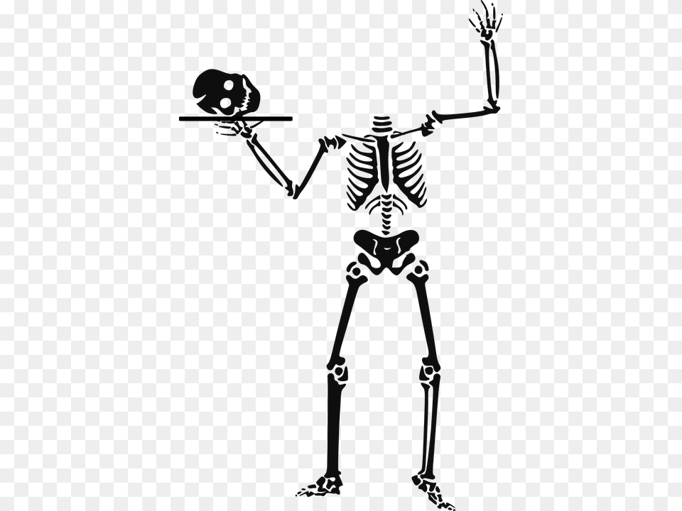 Skeleton 960 720 Pixabay Skeleton Clip Art, Mace Club, Weapon, Person Free Png