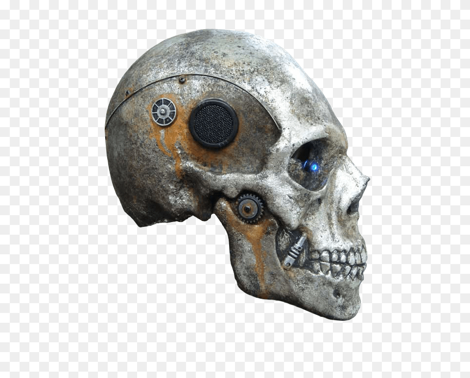 Skeleton, Helmet, Adult, Male, Man Png