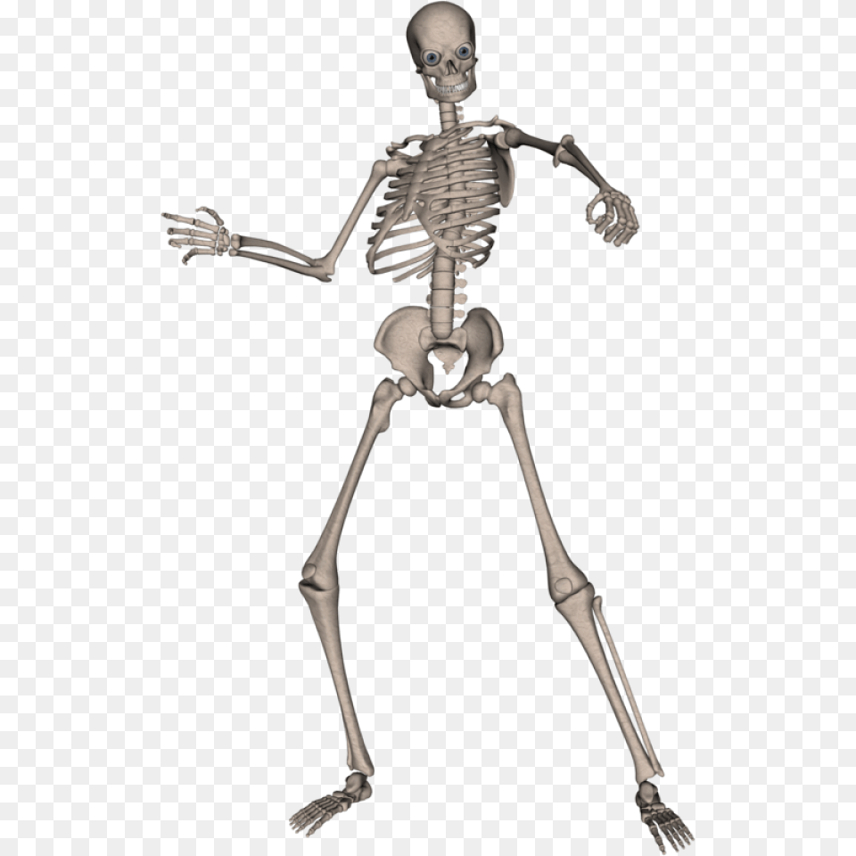 Skeleton, Person, Face, Head Free Png