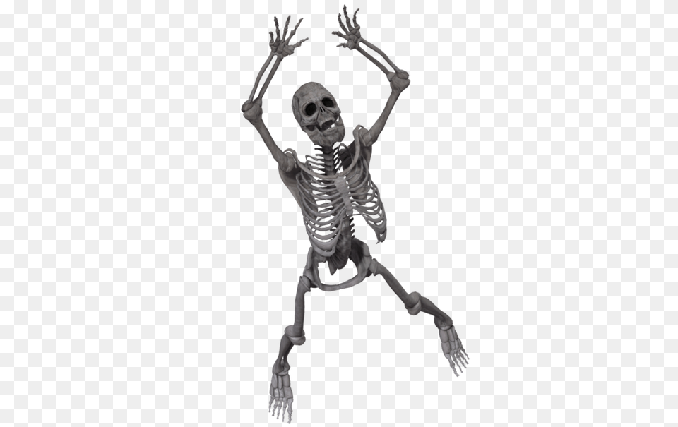Skeleton, Person, Face, Head Png Image