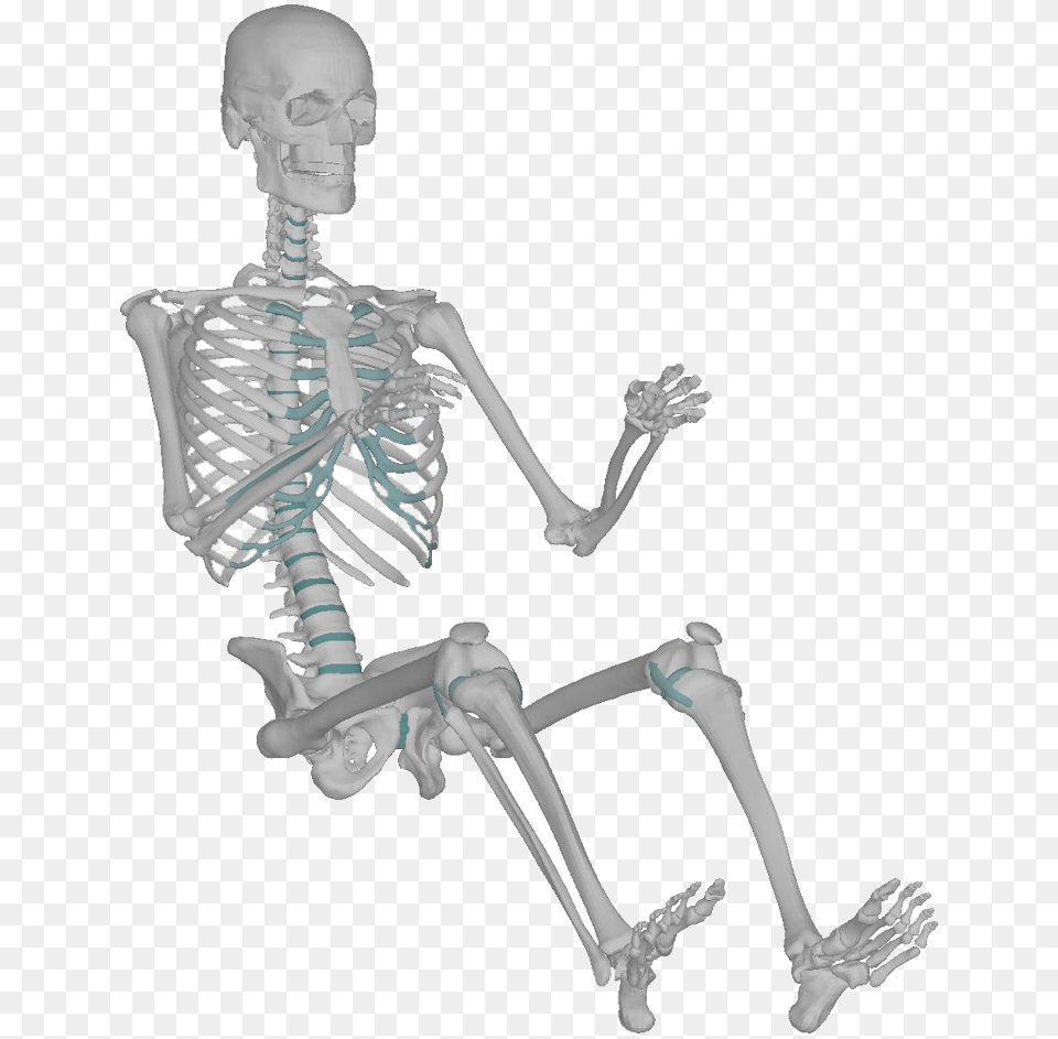 Skeleton, Person, Face, Head, Adult Png Image