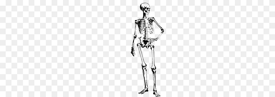 Skeleton Person Png Image