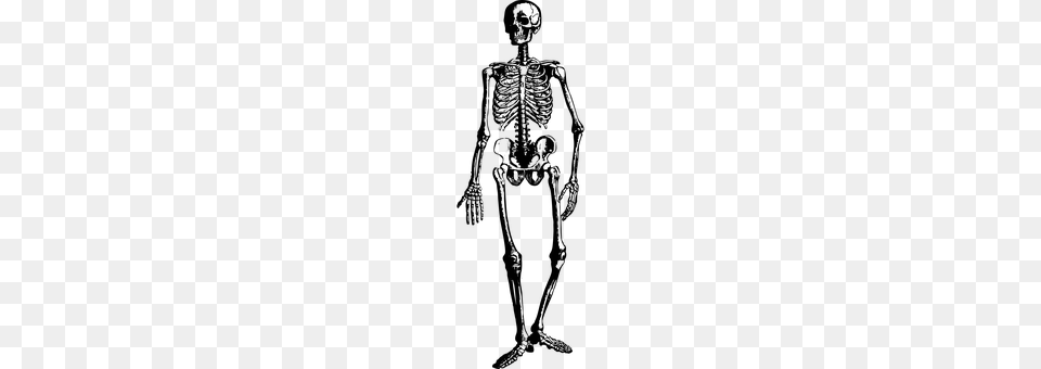 Skeleton Silhouette Free Png Download