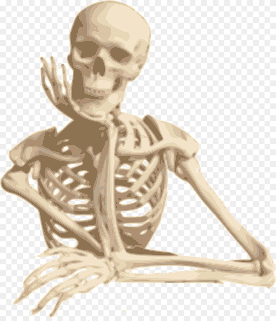 Skeleton, Person, Face, Head Free Transparent Png