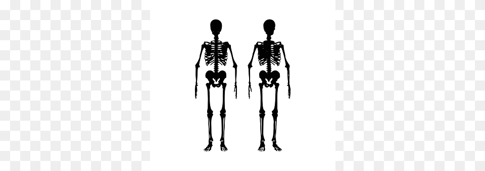 Skeleton Person Free Png Download