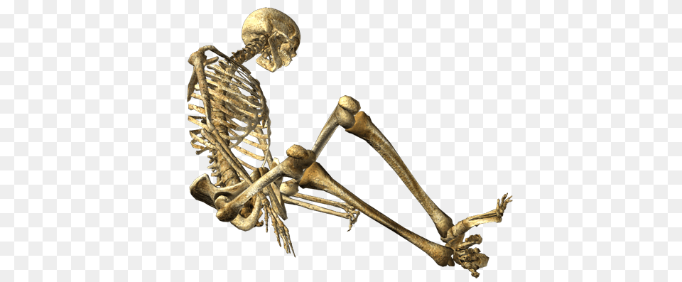 Skeleton Free Transparent Png