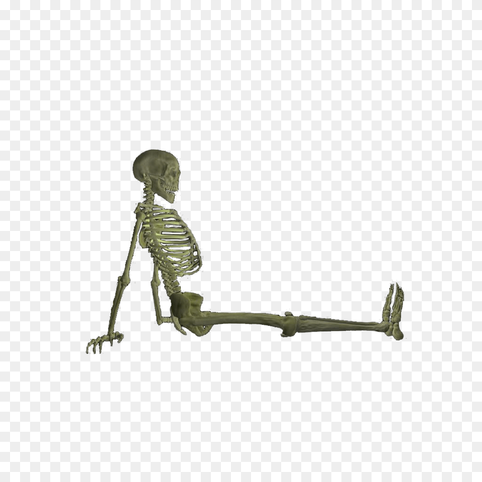 Skeleton, Boy, Child, Male, Person Free Png