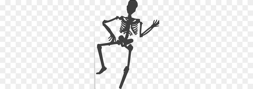 Skeleton Person Png Image
