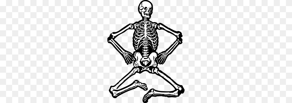 Skeleton Adult, Male, Man, Person Free Transparent Png