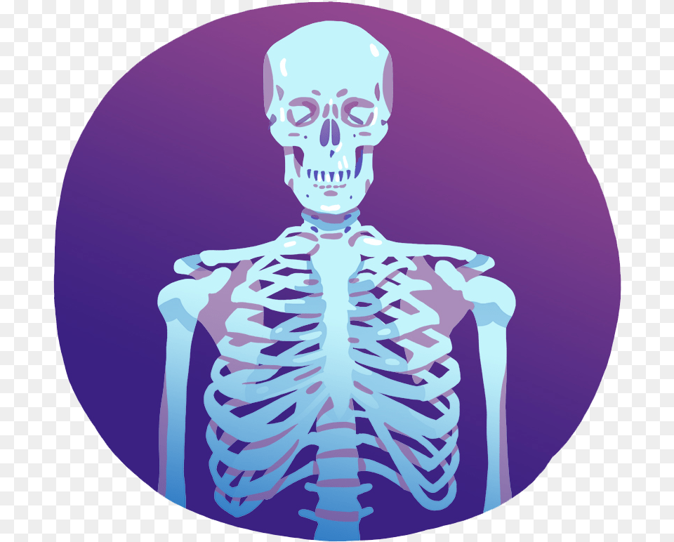 Skeleton, Person, Face, Head Free Png