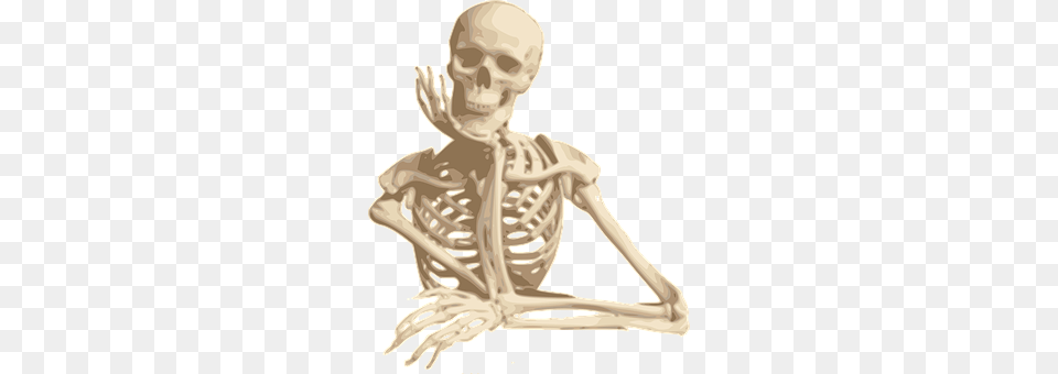 Skeleton Person, Face, Head Png Image