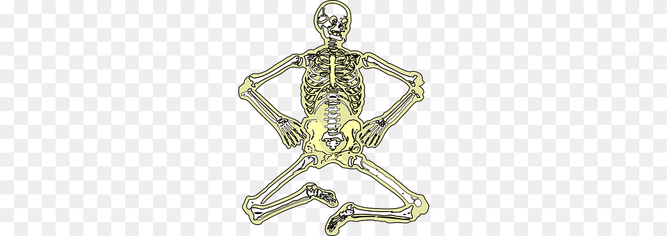 Skeleton Adult, Male, Man, Person Png