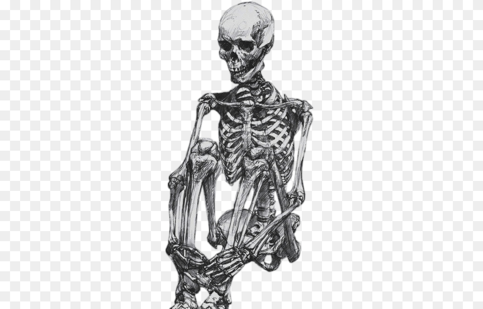 Skeleton, Adult, Male, Man, Person Png Image