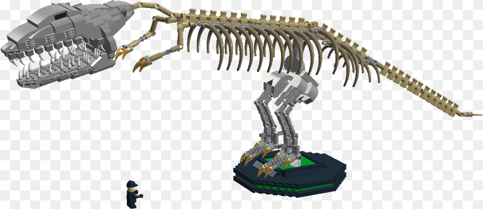 Skeleton, Animal, Dinosaur, Reptile Png
