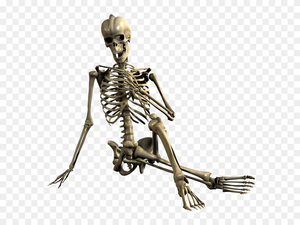 Skeleton, Person, Face, Head Png